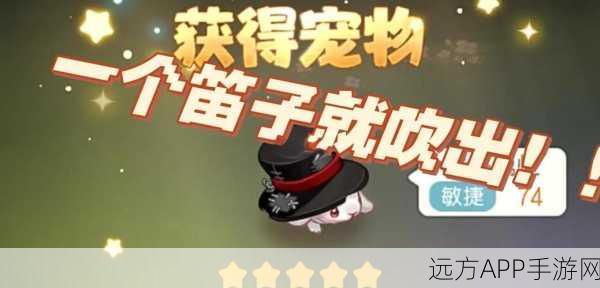 奥比岛宠物之家解锁全攻略,深度技巧与秘籍大公开