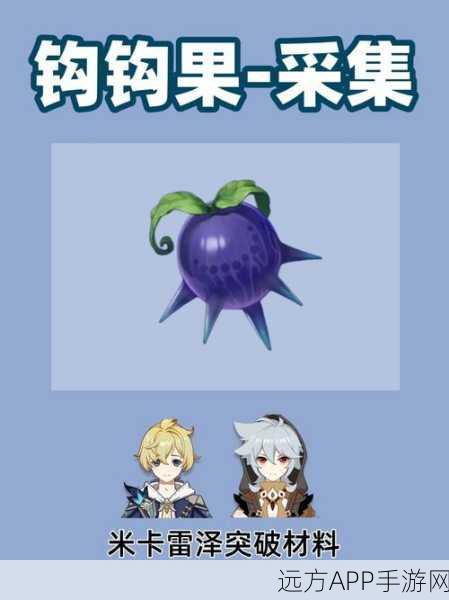 探秘原神，钩钩果采购大赛全攻略