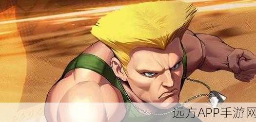 拳皇命运深度揭秘,二阶堂红丸的辉煌与挑战