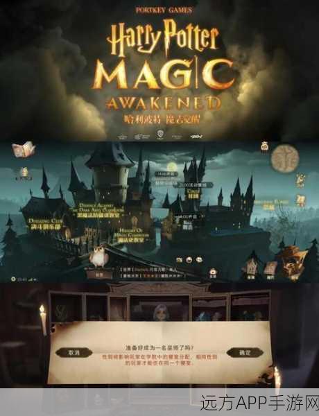 哈利波特金卡争霸赛，解锁魔法世界的荣耀与梦想之旅