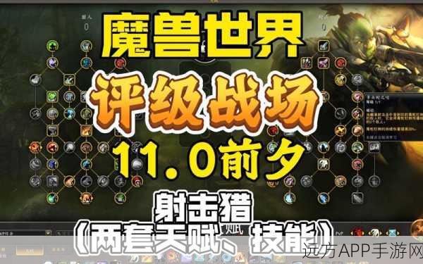 魔兽世界射击猎人，竞技场高效输出秘籍与实战策略揭秘