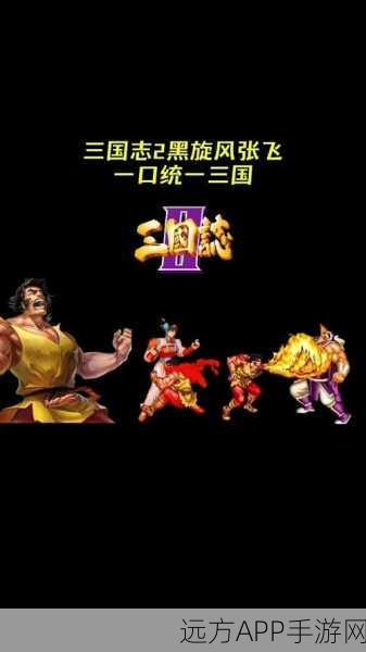 经典重塑,热血再燃,三国志手机版震撼登场,街机情怀全面复苏!