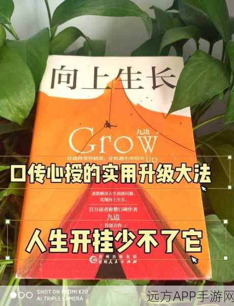 咸鱼翻身秘籍，全面揭秘金指枪获取攻略与实战技巧