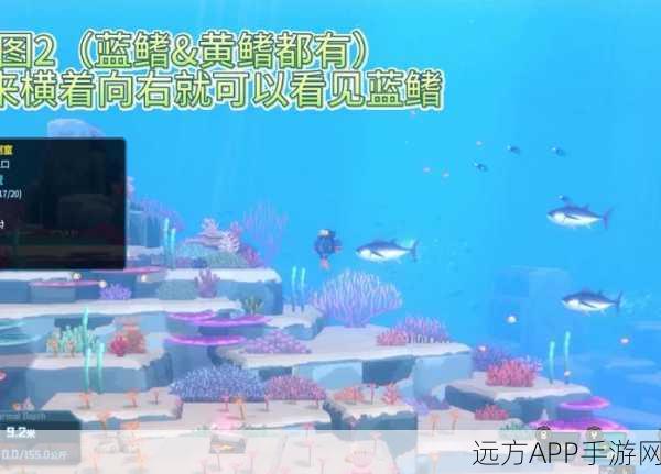 摩尔庄园手游深度攻略，金枪鱼捕捉秘籍与全地图解析