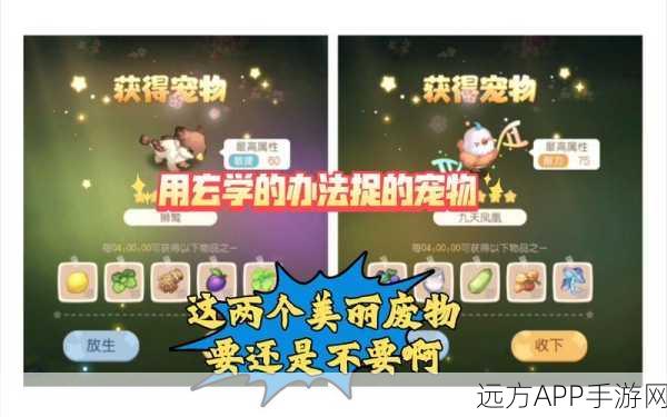 奥比岛珍稀高级笛子,获取秘籍与全能功效大揭秘