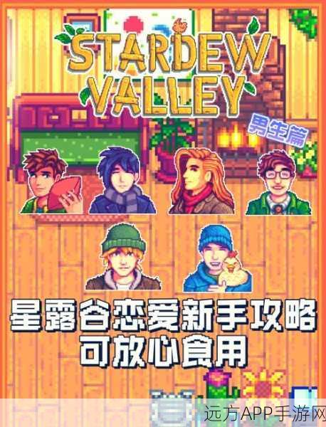 星露谷物语,玩家婚姻选择与婚后生活揭秘,赢取限定游戏礼包!