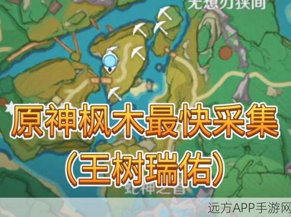 原神探险指南，松木分布图大公开，赢取宝藏地图！