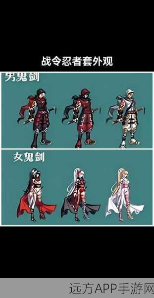 DNF100级忍者终极装备搭配攻略,打造无敌忍术大师