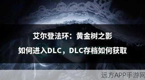 艾尔登法环探险必备,火把获取全攻略