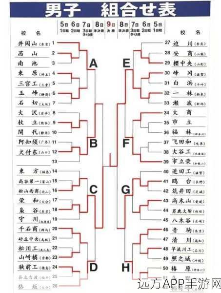 排球少年手游必胜秘籍，热血赛场上的致胜一击与技巧解析