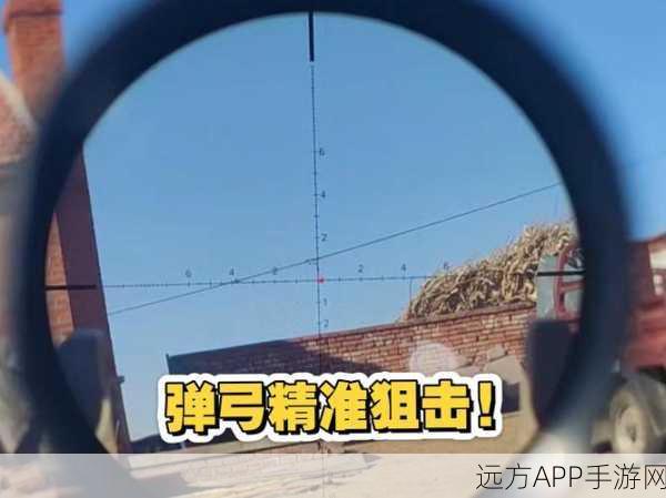手游技巧揭秘，光荣使命中精准狙击——瞄准镜使用全攻略