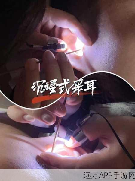 超级收纳馆沉浸采耳通关攻略，轻松掌握采耳技巧，畅享收纳乐趣