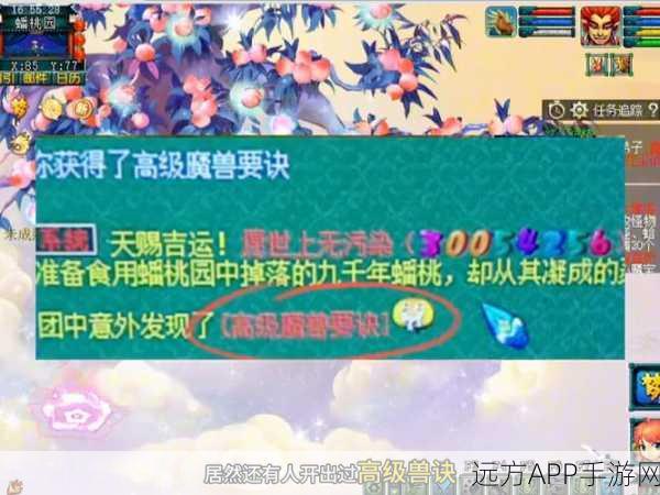 梦幻西游深度攻略，揭秘生父迷任务全攻略与隐藏彩蛋