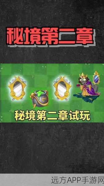 植物大战僵尸2攻略，揭秘镜子关卡制胜秘诀