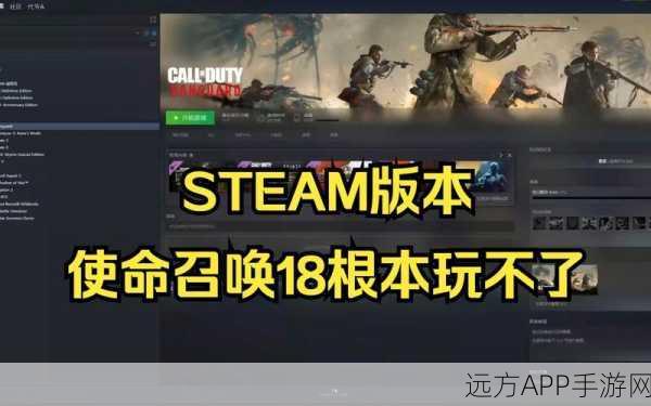 Steam平台能否畅玩使命召唤6？详细解析及玩家问答