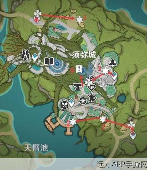 原神帕蒂沙兰高效采集全攻略,独家路线图揭秘,助你赢取采集大赛冠军!