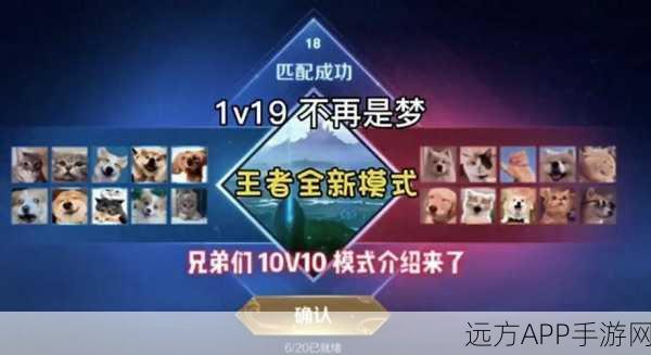 王者荣耀观战回放功能详解，精准复盘，再现峡谷激战瞬间