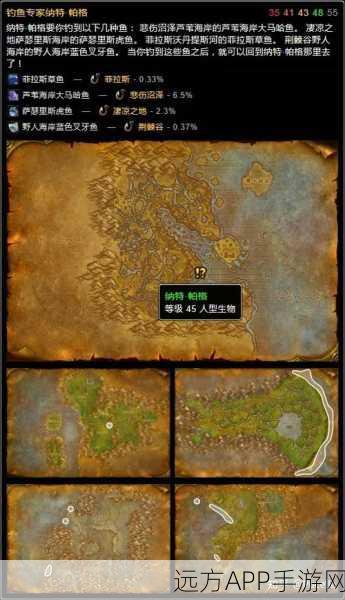 阿拉希高地征服指南，魔兽世界TBC怀旧服深度探索攻略与实战策略