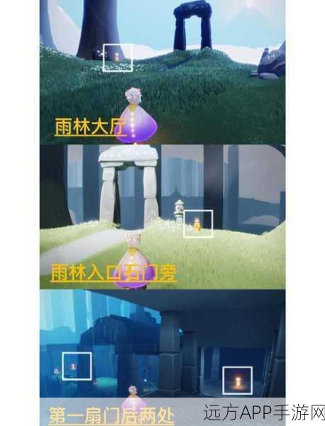 探秘光遇,雨林遗迹冥想位置全解析及游戏深度体验