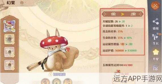 探秘森之国度,全面揭秘幽灵猫出没地点与捕捉攻略