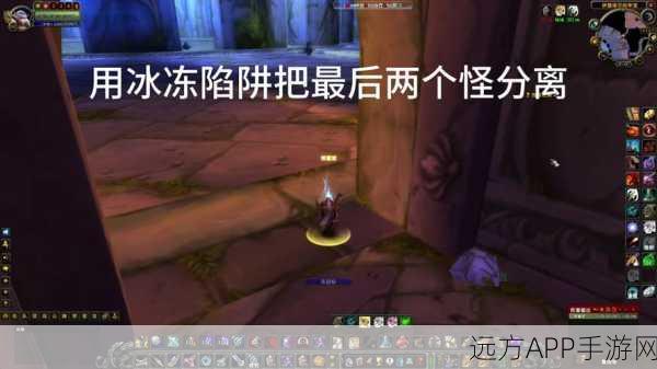WLK猎人单刷副本攻略，揭秘高效单刷选择与技巧