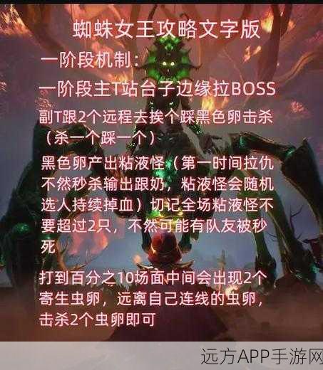 刀塔传奇顶尖攻略，蜘蛛女王实战技巧与深度心得揭秘
