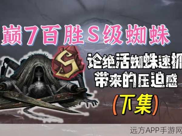 刀塔传奇顶尖攻略,蜘蛛女王实战技巧与深度心得揭秘