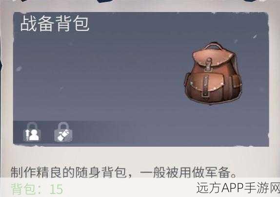 冰原守卫者背包系统全解析，高效存储，策略探险的必备神器