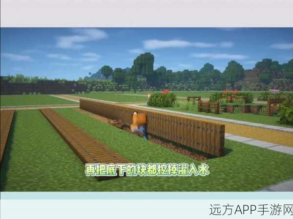 我的世界农夫攻略，掌握稻米种植技巧，打造丰收乐园
