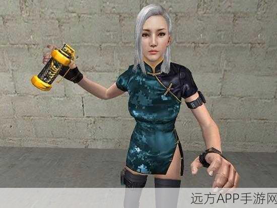 穿越火线手游,兰角色踢人技能实战攻略与技巧解析