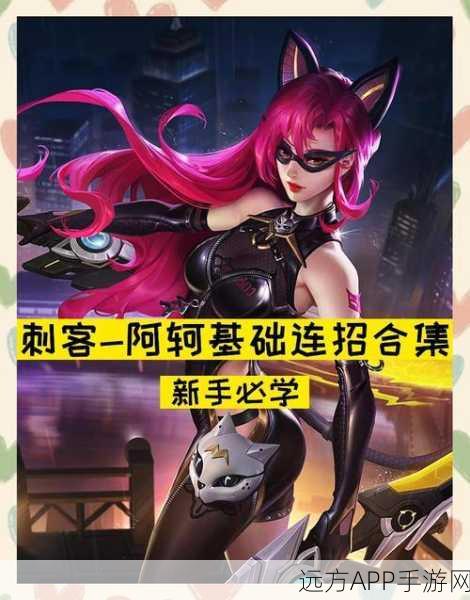 王者荣耀高手攻略,阿珂4-5级铭文搭配详解,助你主宰战场!