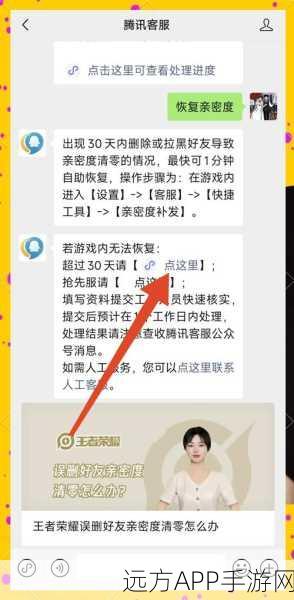 王者荣耀好友误删？找回攻略与比赛细节大揭秘！