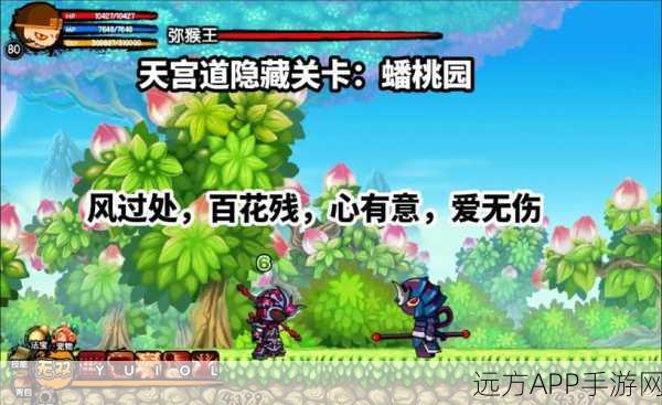 重铸传说,玩转造梦西游3,全面攻略与精彩赛事解析