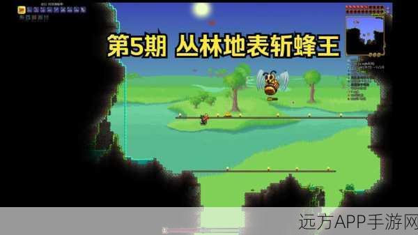 泰拉瑞亚深度攻略,揭秘蜂王召唤全攻略