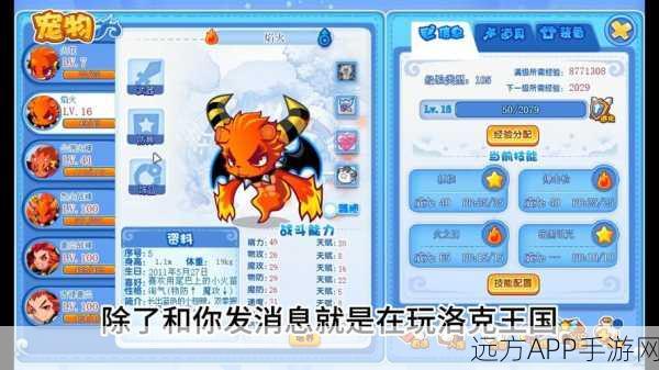 洛克王国探险指南,揭秘飘浮宫殿的进入之道