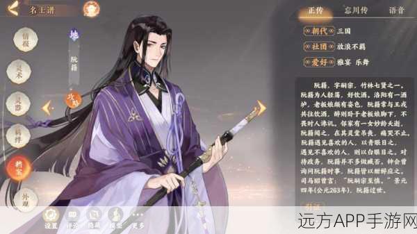忘川风华录深度解析，阮籍灵器套装搭配攻略