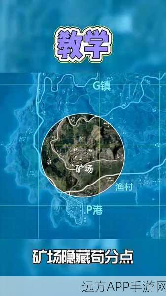 手游技巧揭秘，刺激战场渔村石头BUG高效卡位攻略