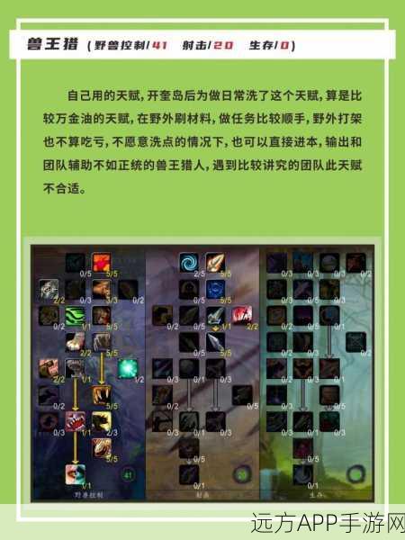 猎人40级进阶之路，魔兽世界怀旧服高效升级攻略