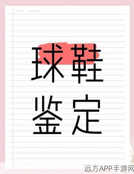 球鞋鉴定大师,模拟经营新体验,打造你的球鞋帝国