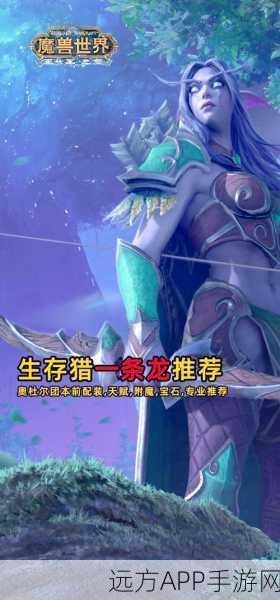 WLK联盟猎人种族选择深度剖析，狩猎之魂与种族魅力的完美融合