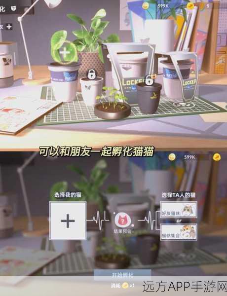 手游资讯,纪录片爱猫之城灵感融入手游,打造全新萌宠体验!