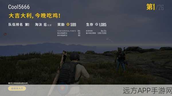 绝地求生，决胜圈终极策略指南，揭秘高手圈内外制胜细节