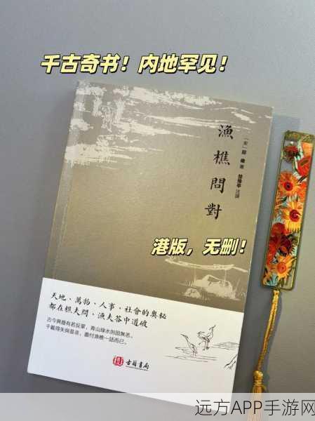 烟雨江湖渔樵问答，武侠梦境与人生旅途的共鸣探秘