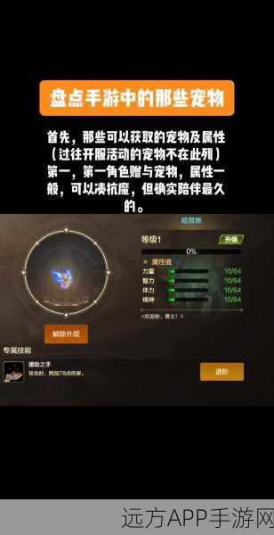 DNF全新精灵宠物上线,萌宠激战,唤醒你的战斗激情!