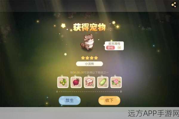 奥比岛手游珍稀宠物捕捉秘籍,熊比特获取全攻略大公开