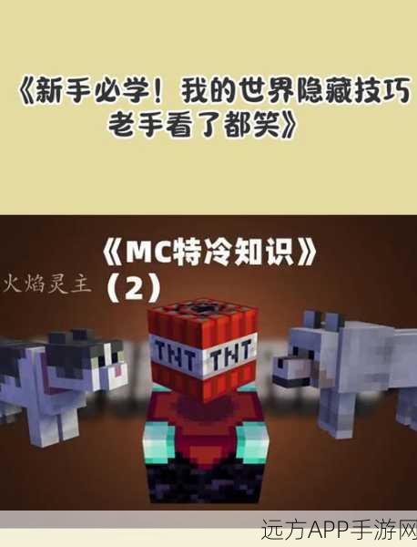我的世界高手秘籍，揭秘物品隐藏与保护的艺术