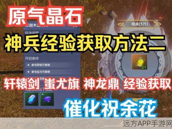妄想山海，神兵石高效获取与实战运用全攻略