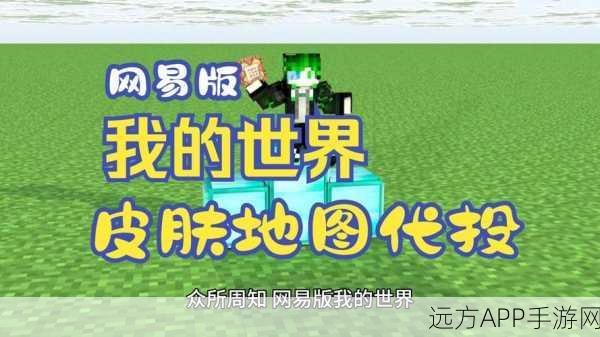我的世界皮革获取秘籍,解锁游戏世界新境界!