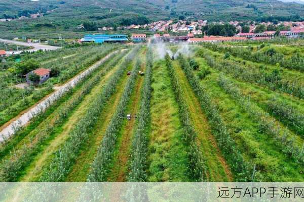 江湖悠悠果园开垦攻略，优选方案与高效种植技巧揭秘