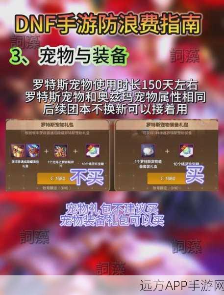 DNF玩家福利指南，揭秘超值礼包选购秘籍，助你战力飙升！